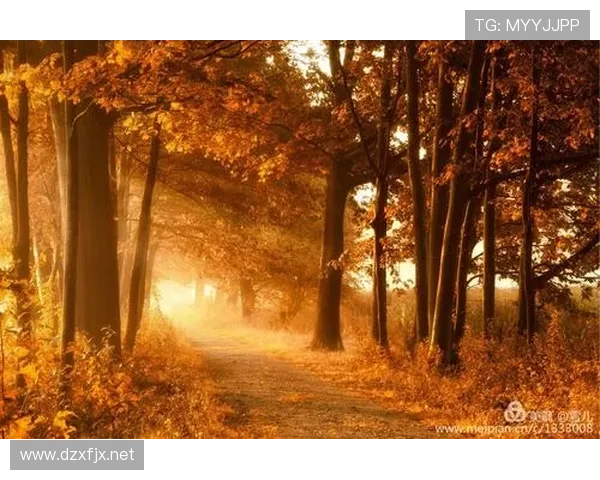 《金玟哉：在世界足球舞台上的表现逐渐受到关注》